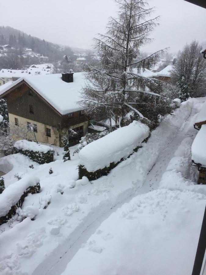 Alpenbrise * Immenstadt im Allgaeu